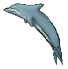 11.gif (11394 bytes)