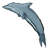 6.gif (10971 bytes)