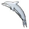 dolphinlightblue.gif (13605 bytes)